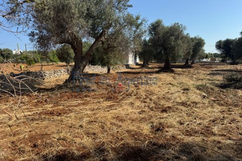Farm hus i Ostuni, Brindisi, Ostuni - € 58.000 | Ref: 172934 - foto 11